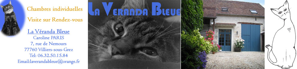 La Véranda Bleue, pension pour chat en seine et marne 77