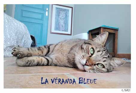 GASPARD_La Véranda Bleue