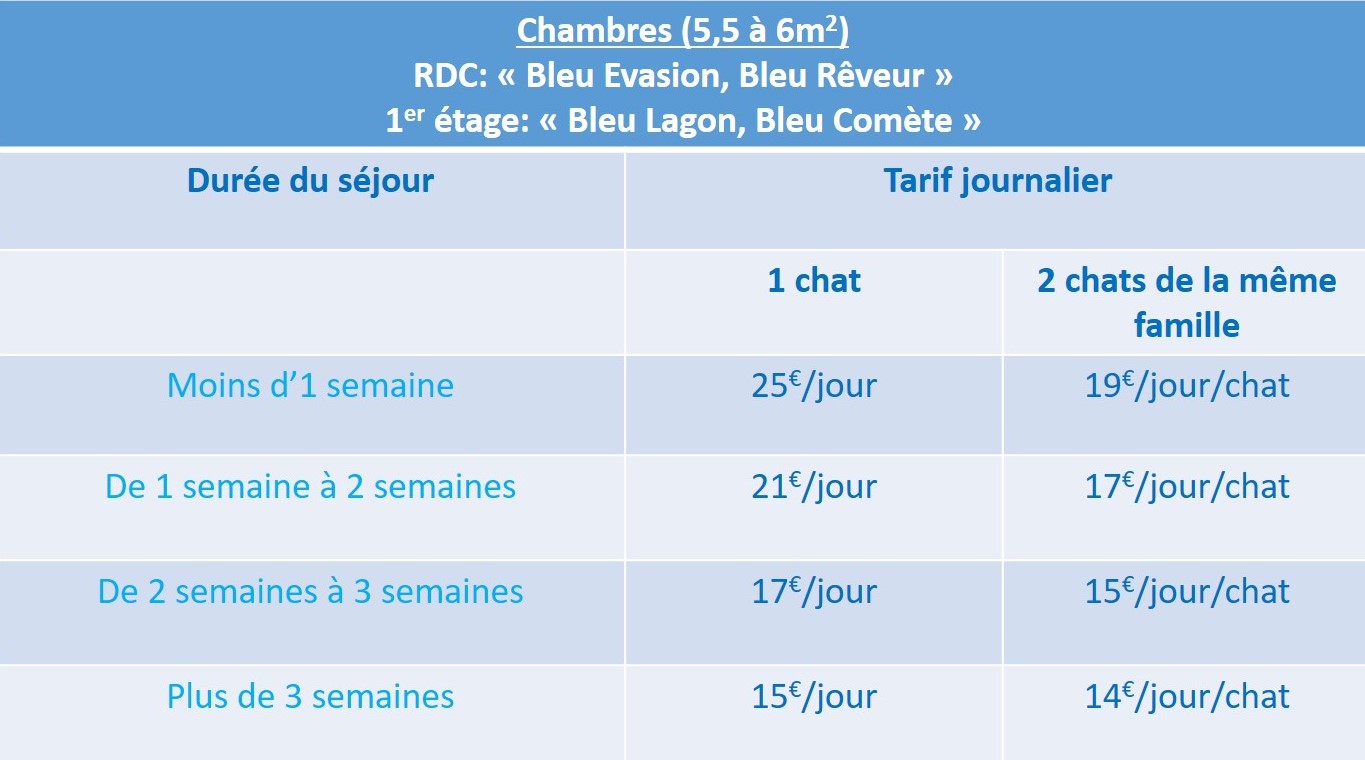 Tarif 2017, LA VÉRANDA BLEUE, Bien plus qu'une pension pour chats, la maison d'hôte de votre chat !