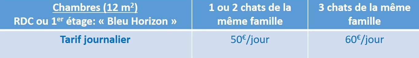 Tarif 2017, LA VÉRANDA BLEUE, Bien plus qu'une pension pour chats, la maison d'hôte de votre chat !