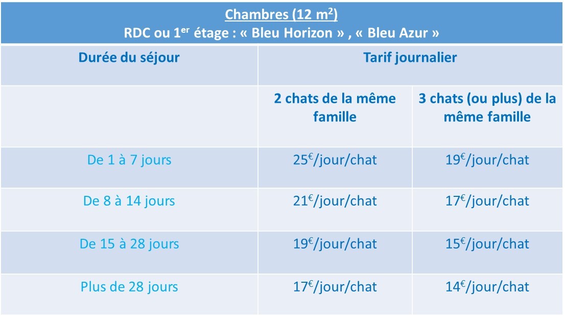 Tarif 2020, LA VÉRANDA BLEUE, Bien plus qu'une pension pour chats, la maison d'hôte de votre chat !