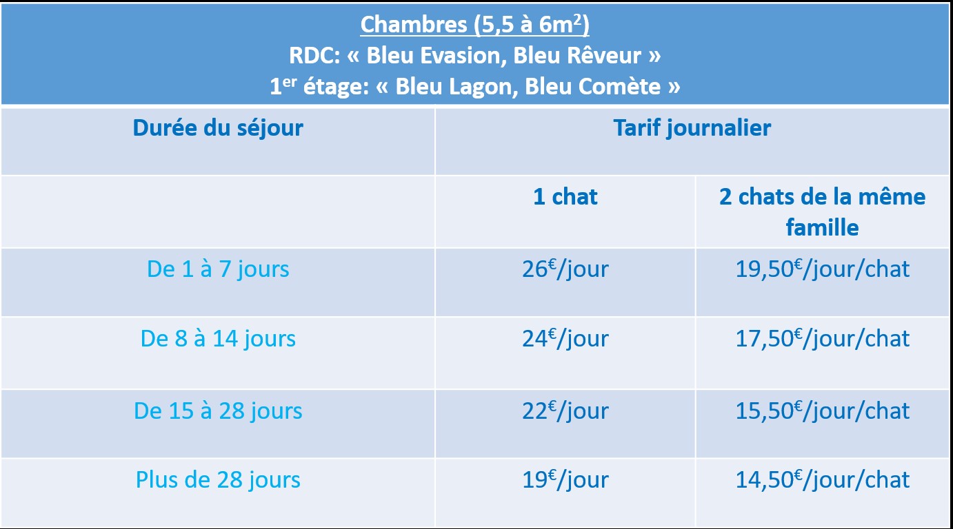 Tarif 2026, LA VÉRANDA BLEUE, Bien plus qu'une pension pour chats, la maison d'hôte de votre chat !